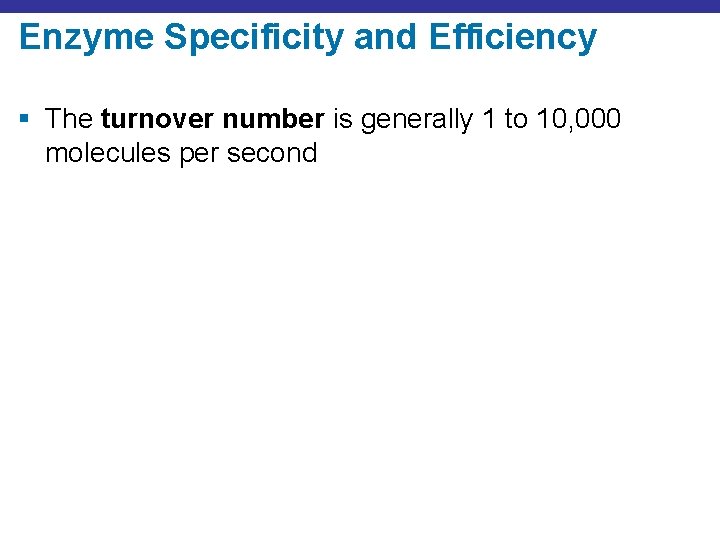 Enzyme Specificity and Efficiency § The turnover number is generally 1 to 10, 000