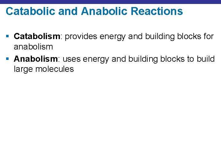 Catabolic and Anabolic Reactions § Catabolism: provides energy and building blocks for anabolism §