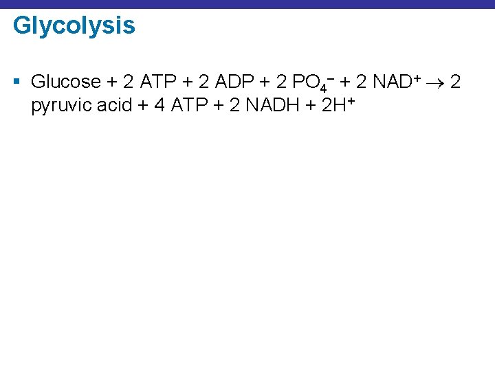 Glycolysis § Glucose + 2 ATP + 2 ADP + 2 PO 4– +