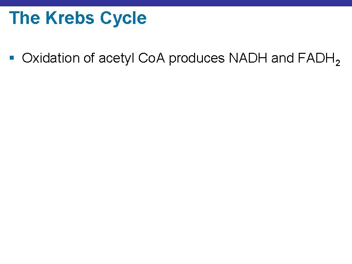 The Krebs Cycle § Oxidation of acetyl Co. A produces NADH and FADH 2