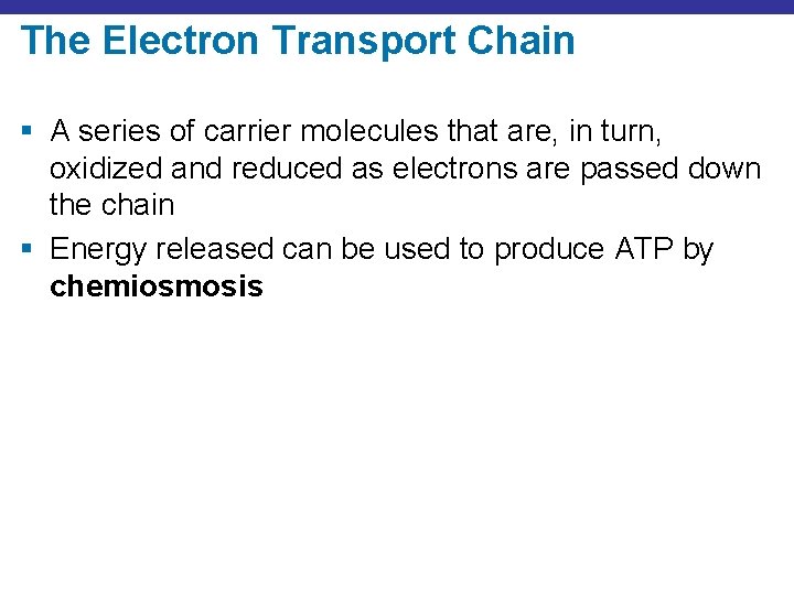 The Electron Transport Chain § A series of carrier molecules that are, in turn,