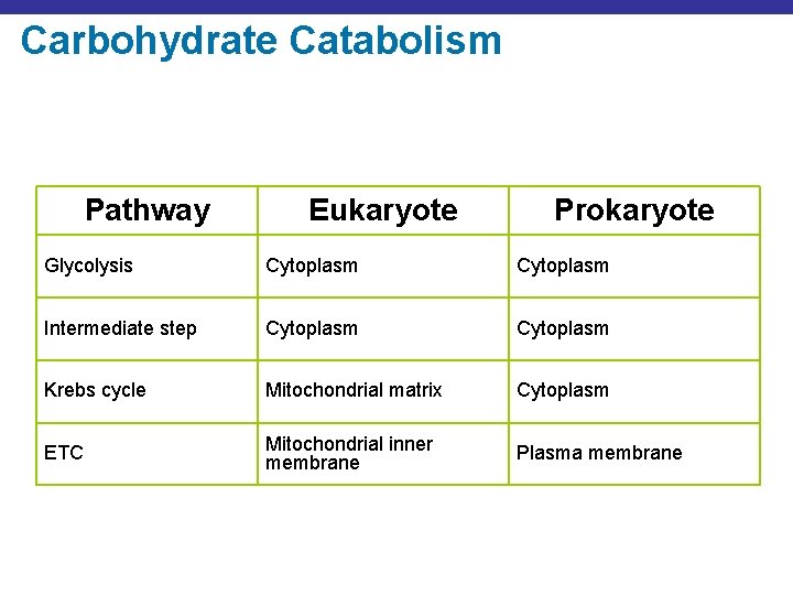 Carbohydrate Catabolism Pathway Eukaryote Prokaryote Glycolysis Cytoplasm Intermediate step Cytoplasm Krebs cycle Mitochondrial matrix