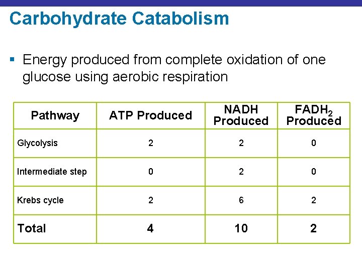 Carbohydrate Catabolism § Energy produced from complete oxidation of one glucose using aerobic respiration