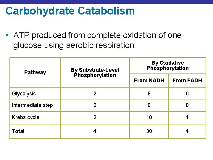 Carbohydrate Catabolism § ATP produced from complete oxidation of one glucose using aerobic respiration