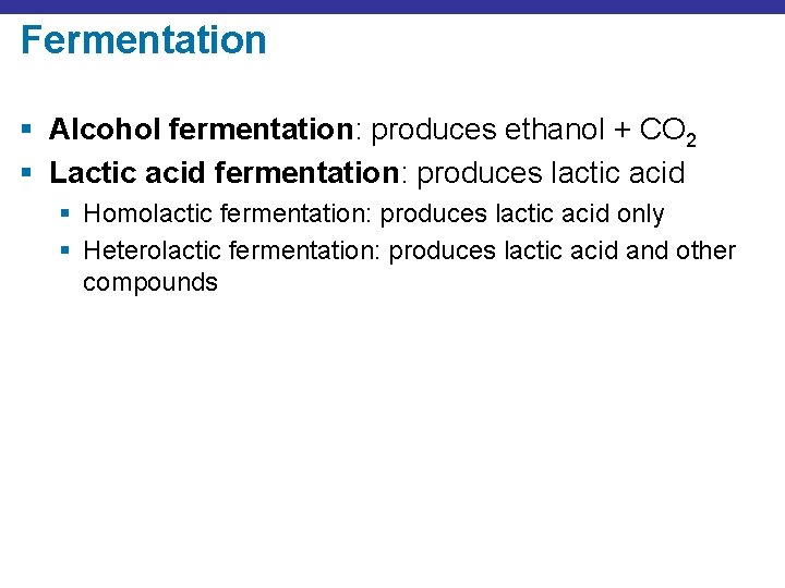 Fermentation § Alcohol fermentation: produces ethanol + CO 2 § Lactic acid fermentation: produces