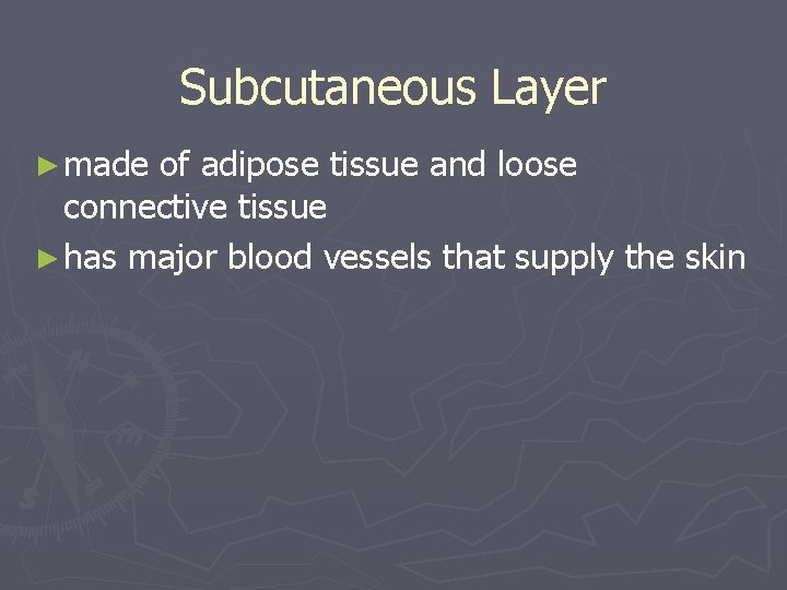 Subcutaneous Layer ► made of adipose tissue and loose connective tissue ► has major