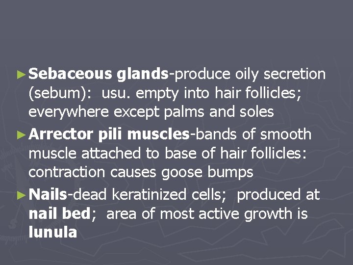 ► Sebaceous glands-produce oily secretion (sebum): usu. empty into hair follicles; everywhere except palms