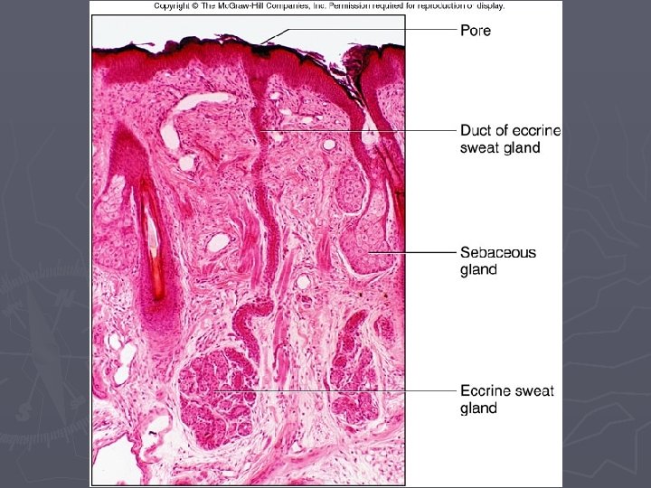 Figure 06. 10 