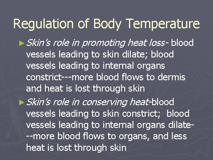 Regulation of Body Temperature ► Skin’s role in promoting heat loss- blood vessels leading