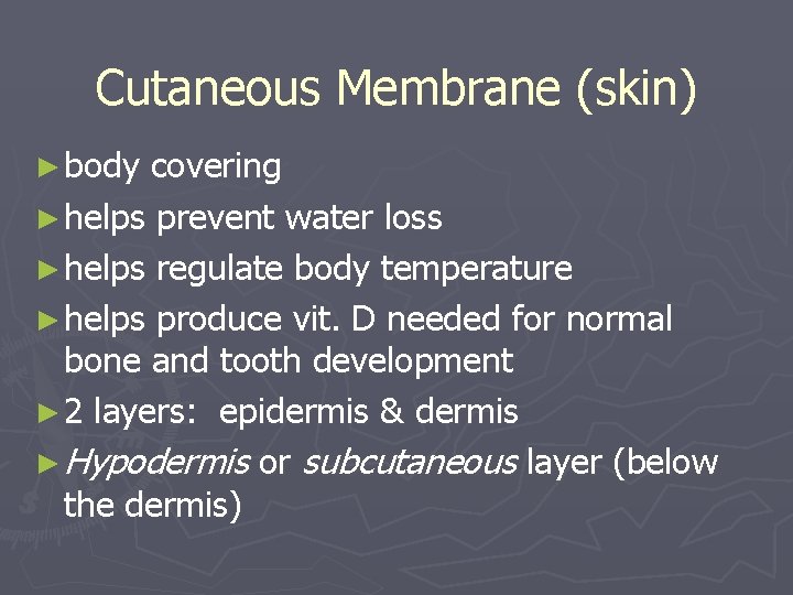 Cutaneous Membrane (skin) ► body covering ► helps prevent water loss ► helps regulate