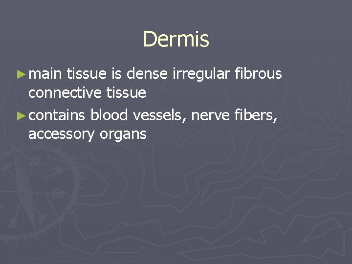 Dermis ► main tissue is dense irregular fibrous connective tissue ► contains blood vessels,