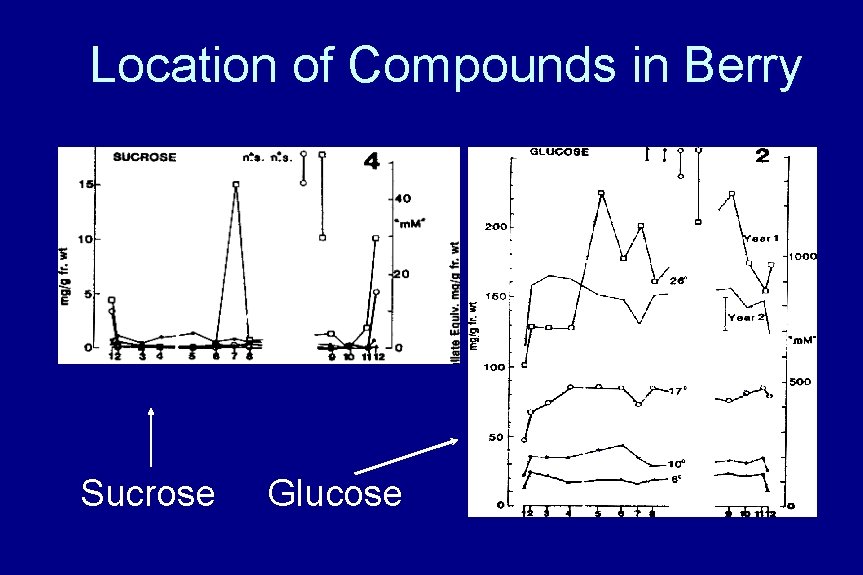 Location of Compounds in Berry Sucrose Glucose 