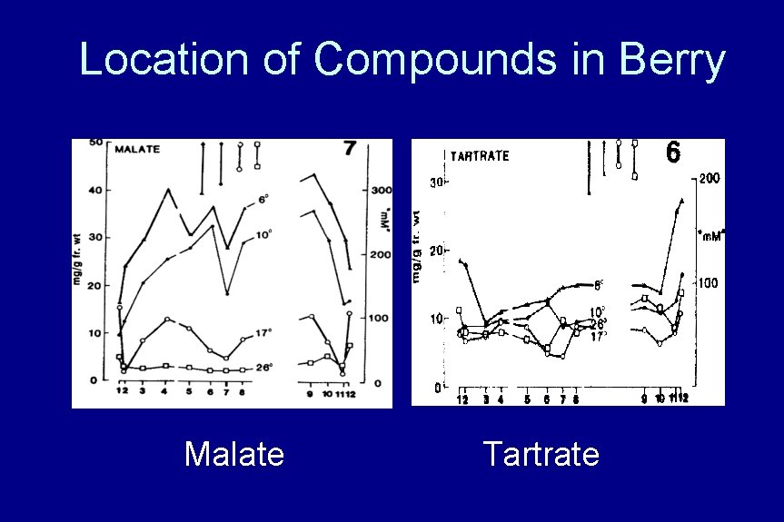 Location of Compounds in Berry Malate Tartrate 