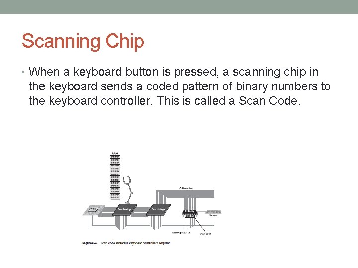 Scanning Chip • When a keyboard button is pressed, a scanning chip in the