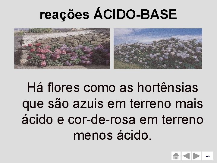 reações ÁCIDO-BASE Há flores como as hortênsias que são azuis em terreno mais ácido