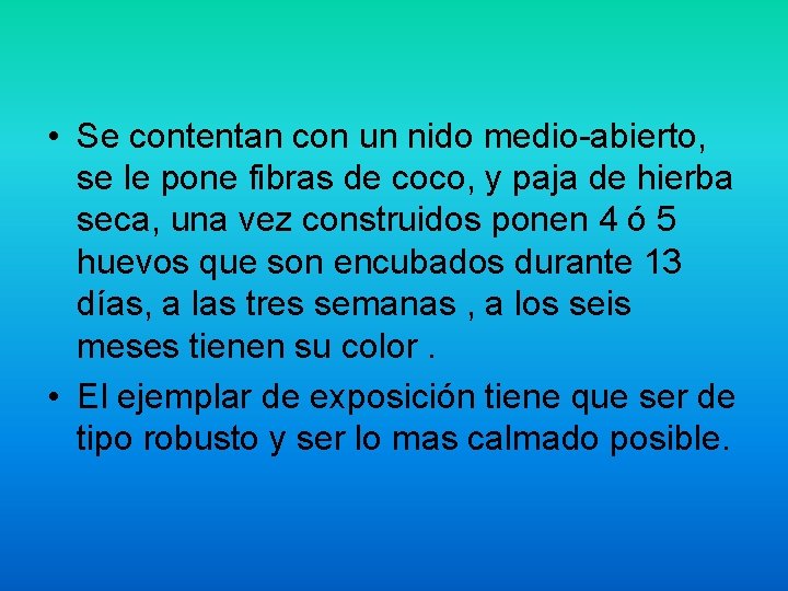  • Se contentan con un nido medio-abierto, se le pone fibras de coco,