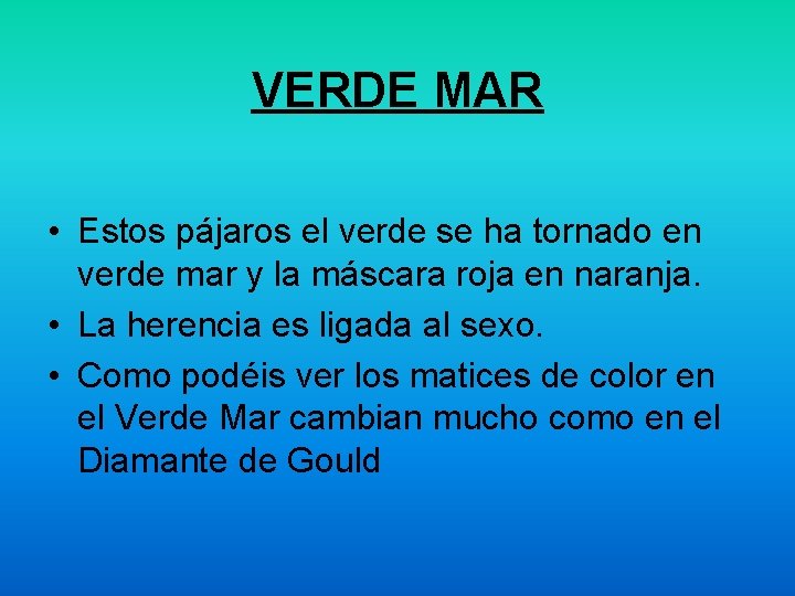 VERDE MAR • Estos pájaros el verde se ha tornado en verde mar y