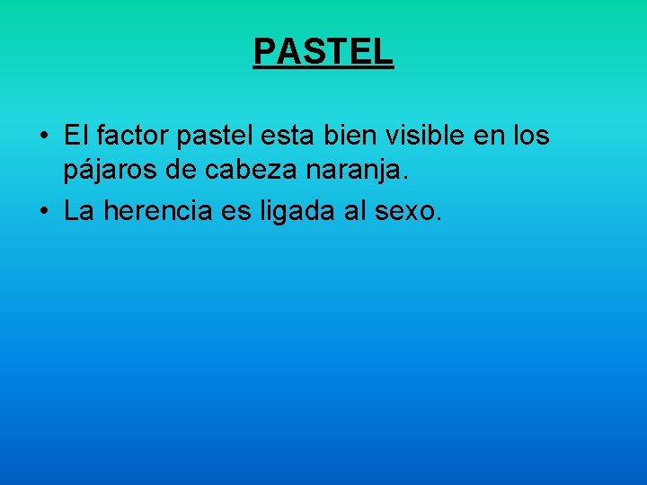 PASTEL • El factor pastel esta bien visible en los pájaros de cabeza naranja.