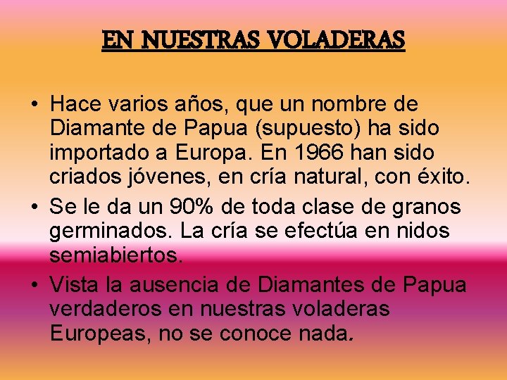 EN NUESTRAS VOLADERAS • Hace varios años, que un nombre de Diamante de Papua