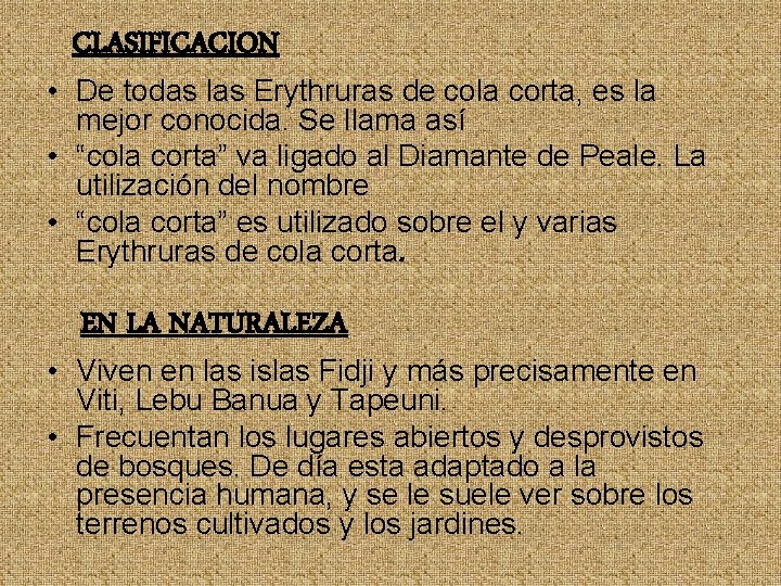 CLASIFICACION • De todas las Erythruras de cola corta, es la mejor conocida. Se