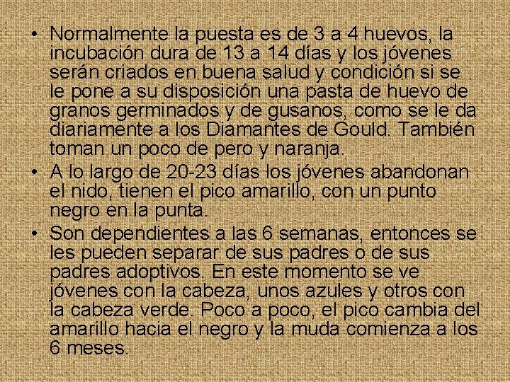  • Normalmente la puesta es de 3 a 4 huevos, la incubación dura