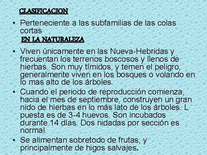 CLASIFICACION • Perteneciente a las subfamilias de las cortas EN LA NATURALEZA • Viven