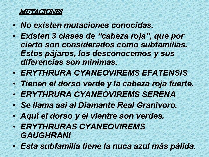 MUTACIONES • No existen mutaciones conocidas. • Existen 3 clases de “cabeza roja”, que