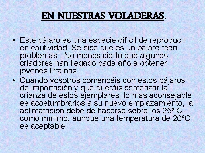 EN NUESTRAS VOLADERAS. • Este pájaro es una especie difícil de reproducir en cautividad.