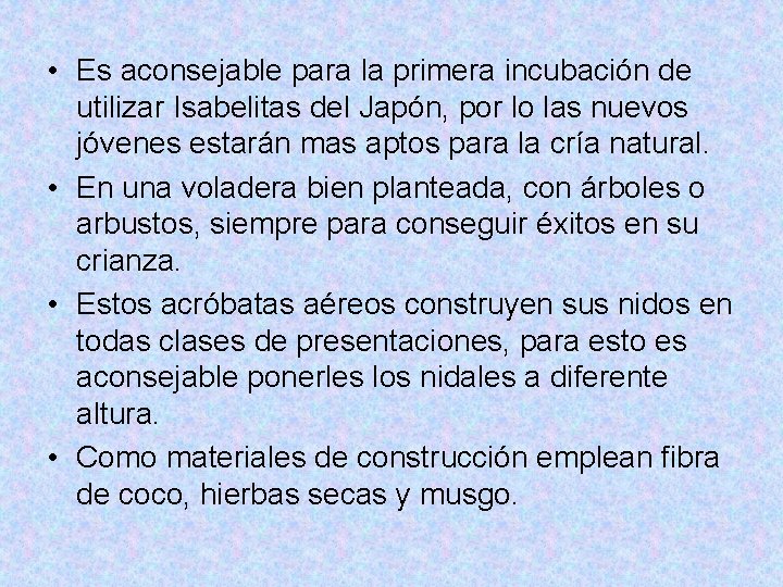  • Es aconsejable para la primera incubación de utilizar Isabelitas del Japón, por