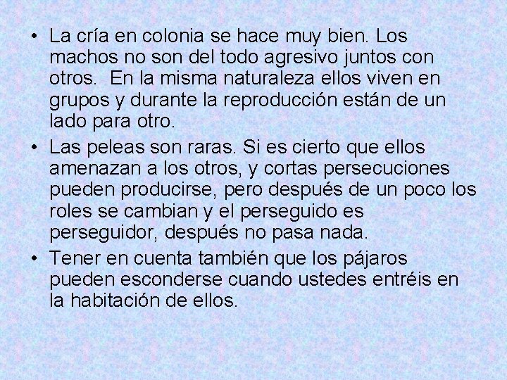  • La cría en colonia se hace muy bien. Los machos no son