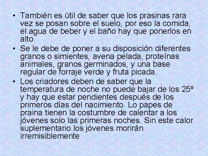  • También es útil de saber que los prasinas rara vez se posan