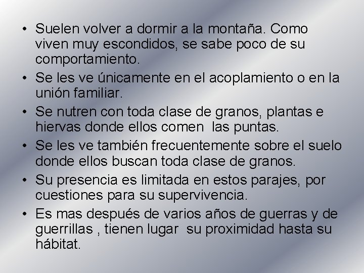  • Suelen volver a dormir a la montaña. Como viven muy escondidos, se