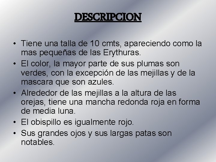 DESCRIPCION • Tiene una talla de 10 cmts, apareciendo como la mas pequeñas de