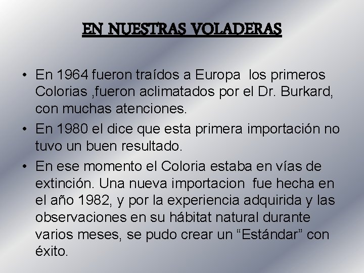 EN NUESTRAS VOLADERAS • En 1964 fueron traídos a Europa los primeros Colorias ,