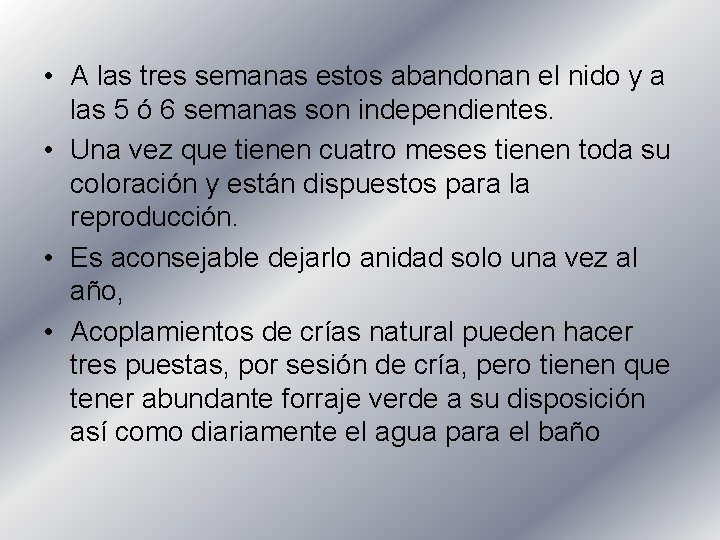  • A las tres semanas estos abandonan el nido y a las 5