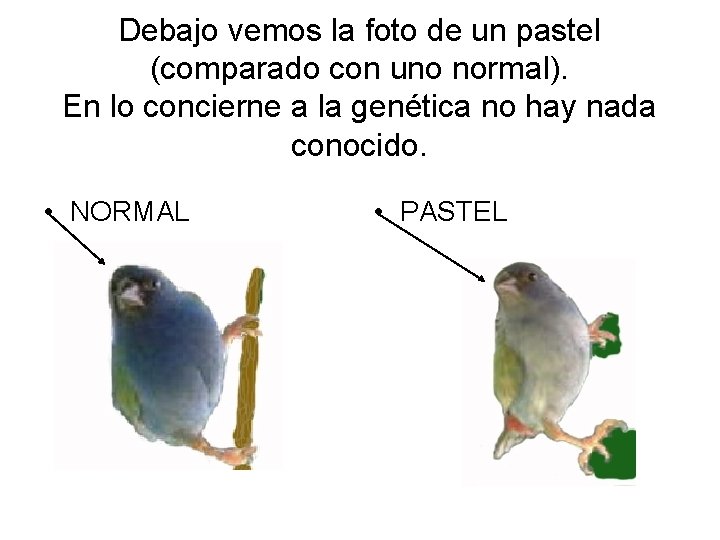 Debajo vemos la foto de un pastel (comparado con uno normal). En lo concierne