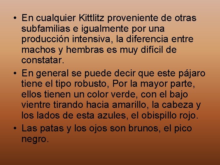  • En cualquier Kittlitz proveniente de otras subfamilias e igualmente por una producción