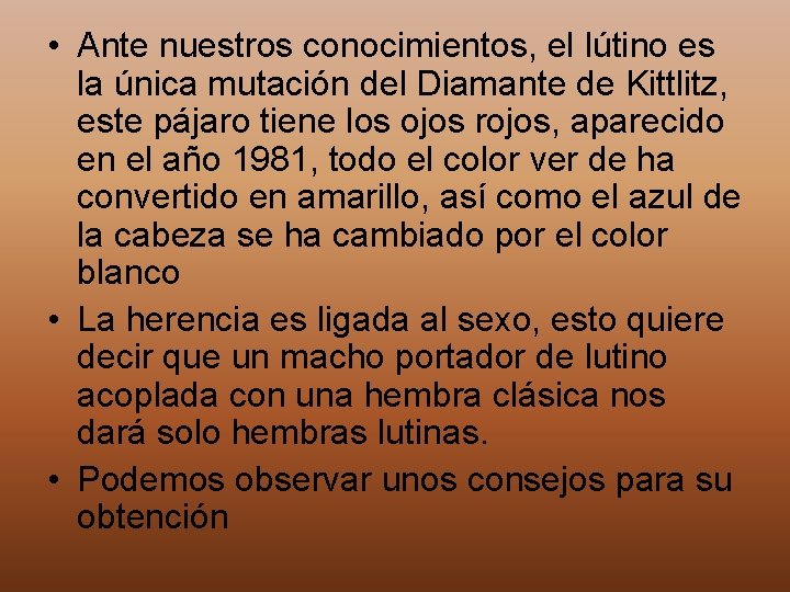  • Ante nuestros conocimientos, el lútino es la única mutación del Diamante de