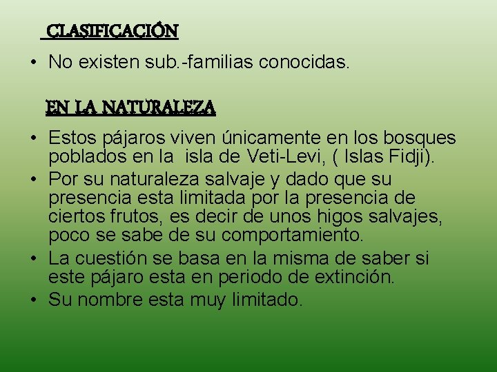 CLASIFICACIÓN • No existen sub. -familias conocidas. EN LA NATURALEZA • Estos pájaros viven