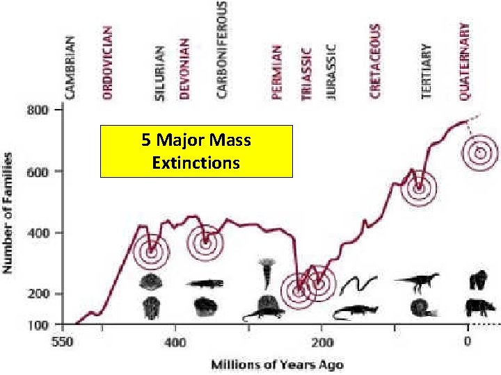 5 Major Mass Extinctions 