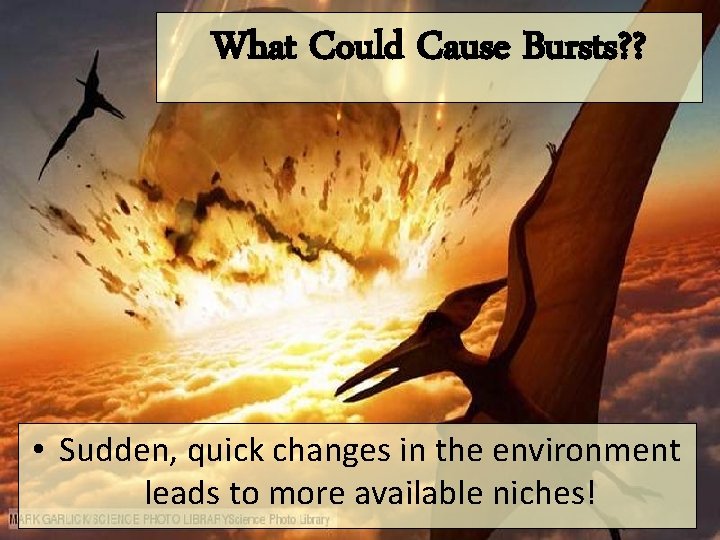 What Could Cause Bursts? ? • Sudden, quick changes in the environment leads to