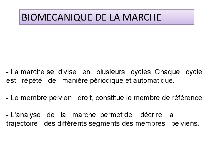 BIOMECANIQUE DE LA MARCHE - La marche se divise en plusieurs cycles. Chaque cycle