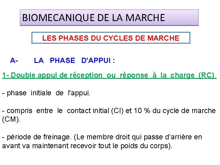 BIOMECANIQUE DE LA MARCHE LES PHASES DU CYCLES DE MARCHE A- LA PHASE D'APPUI