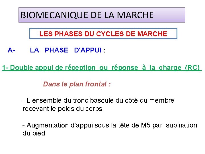 BIOMECANIQUE DE LA MARCHE LES PHASES DU CYCLES DE MARCHE A- LA PHASE D'APPUI