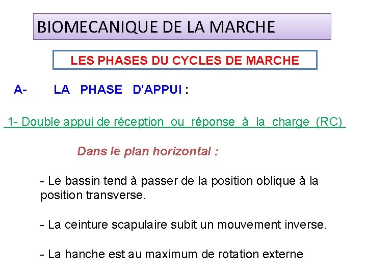 BIOMECANIQUE DE LA MARCHE LES PHASES DU CYCLES DE MARCHE A- LA PHASE D'APPUI