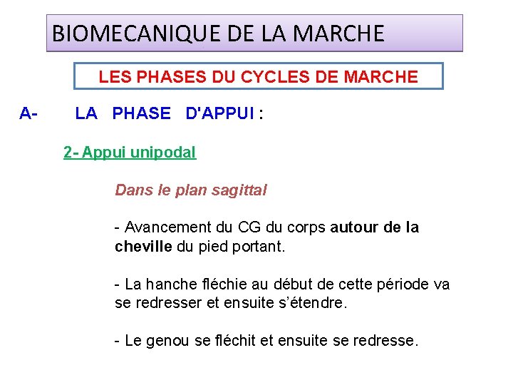 BIOMECANIQUE DE LA MARCHE LES PHASES DU CYCLES DE MARCHE A- LA PHASE D'APPUI