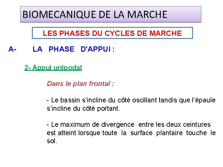 BIOMECANIQUE DE LA MARCHE LES PHASES DU CYCLES DE MARCHE A- LA PHASE D'APPUI