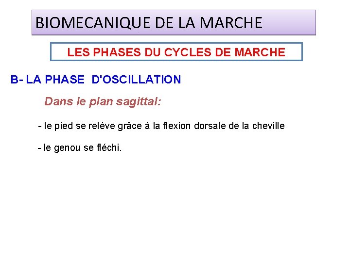 BIOMECANIQUE DE LA MARCHE LES PHASES DU CYCLES DE MARCHE B- LA PHASE D'OSCILLATION