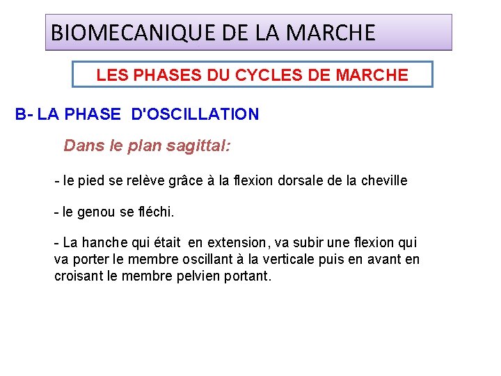 BIOMECANIQUE DE LA MARCHE LES PHASES DU CYCLES DE MARCHE B- LA PHASE D'OSCILLATION