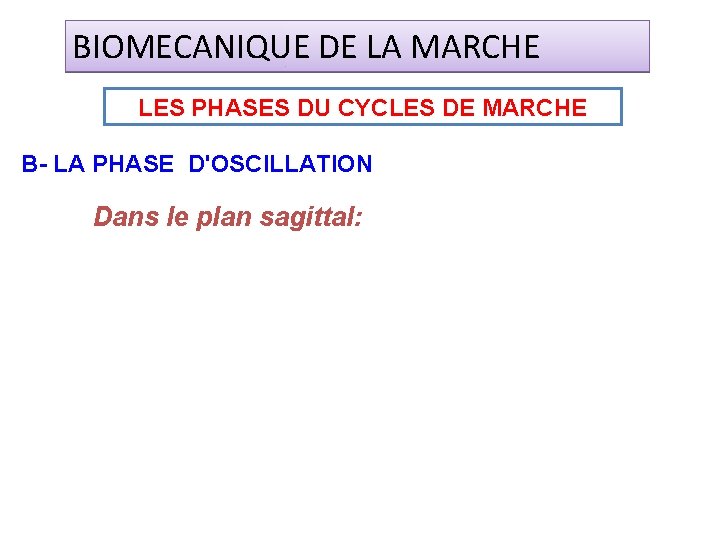 BIOMECANIQUE DE LA MARCHE LES PHASES DU CYCLES DE MARCHE B- LA PHASE D'OSCILLATION